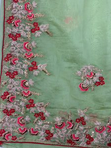 Designer Organza Saree- Light Green with Red blouse